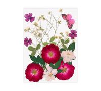 Fleur séchée Naturelle pour Marque-Pages, Fabrication de Bougies, Bijoux, Feuilles de Fleurs séchées pressées Naturelles pour Fleurs Artisanales Faites à la Main, Ensemble condensé