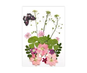 Fleur séchée Naturelle pour Marque-Pages, Fabrication de Bougies, Bijoux, Feuilles de Fleurs séchées pressées Naturelles pour Fleurs Artisanales Faites à la Main, Ensemble condensé