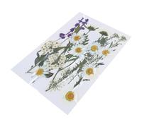 Fleur séchée pressée Naturelle pour résine époxy, Ensemble de Fleurs et de Feuilles sèches pour la Fabrication de Bijoux, de Bougies de Savon, de signets de Scrapbooking et d ' Artisanat