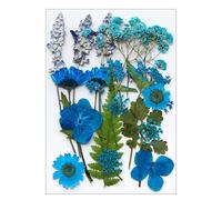 Fleur séchée pressée Naturelle pour résine époxy, Ensemble de Fleurs et de Feuilles sèches pour la Fabrication de Bijoux, de Bougies de Savon, de signets de Scrapbooking et d ' Artisanat