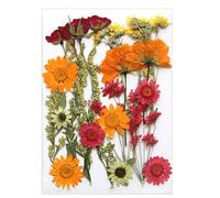 Fleur séchée pressée Naturelle pour résine époxy, Ensemble de Fleurs et de Feuilles sèches pour la Fabrication de Bijoux, de Bougies de Savon, de signets de Scrapbooking et d ' Artisanat