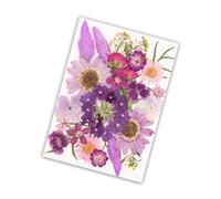 Fleur séchée pressée pour moules en résine, Feuilles de Fleurs sèches Naturelles pour Scrapbooking, Marque-Pages de Bijoux en résine, Fabrication de Bougies, Collecte d ' échantillons de