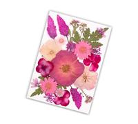 Fleur séchée pressée pour moules en résine, Feuilles de Fleurs sèches Naturelles pour Scrapbooking, Marque-Pages de Bijoux en résine, Fabrication de Bougies, Collecte d ' échantillons de