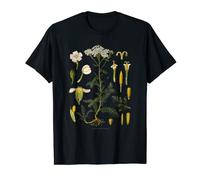 Fleur Vintage Botanical Illustration Dandelion T-Shirt