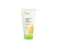 Fleurance nature Gel Nettoyant Purifiant à la Bardane Bio Gel(S) 150 ml