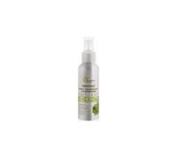 FLEURANCE Puryfitout Spray Assainissant 200 ml