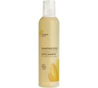 Fleurance Nature - Shampoing doux à l'Hamamelis Bio - Tube 200 ml