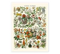 Fleurs, 1923 Poster de Adolphe Millot 13 x 18 cm Déco colorée Tableaux Décoration murale