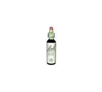 FLEURS 23 Olive 20ml