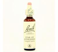 FLEURS 29 Star of Bethlehem 20ml