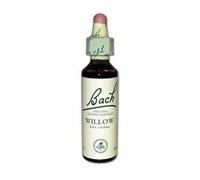 FLEURS 38 Willow 20ml