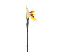 Fleurs artificielles Bird de Paradis, 2pcs 30,7 Pouces réalistes décoratives Grand Oiseau de Paradis Fleur permanente pour intérieur (Jaune)