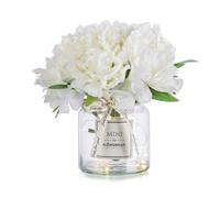 Fleurs artificielles blanches avec vase : petite table basse, décoration de salle de bain, pivoine, fleurs artificielles dans un vase, bureau, étagère, salon, table de chevet, décorations florales