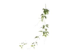 fleurs artificielles, Décoration murale for la maison, pendentif en eucalyptus simulé par cryptage(Tt lian Ye)