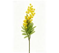 Fleurs artificielles en soie d'acacia pour décoration d'intérieur, centre de table avec proportions équilibrées et flux naturel