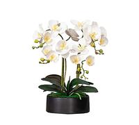 Fleurs artificielles, Ensemble de Fleurs artificielles, orchidées artificielles en Vase, bonsaï, Fausse Plante, Pot de Fleurs Artificiel pour la décoration du Salon, Blanc, bel Art