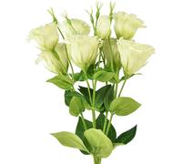 Fleurs artificielles Eustoma Lisianthus Jaune Vert 52cm 5 pcs - Décoration, rose du Japon, fleurs en soie