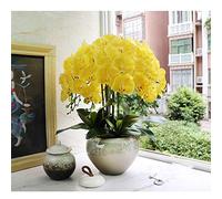 Fleurs artificielles phalaenopsis en pot, 10 orchidées papillon avec pot en céramique élégant unique, beau bonsaï artificiel pour maison/bureau/salon/salle à manger, décoration de table, bureau