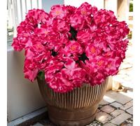 Fleurs artificielles pour la décoration extérieure, 6 paquets de fausses fleurs de géraniums en soie Fausses fleurs Plantes résistantes aux UV pour jardin maison jardinière fenêtres cour table