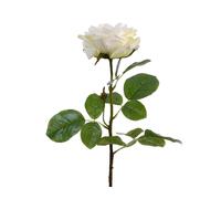 Fleurs artificielles Rose avec tige 68cm Real Touch blanc