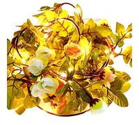 Fleurs artificielles vertes 2,2 m Guirlande lumineuse 25 perles de lampe Lumière constante Blanc chaud Décoration de chambre