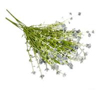 Fleurs Artificielles Violettes 5 Tiges Plastique Fleurs Artificielles | Plastique pour robuste, 5 tiges par bouquet, résistant pour usure, flétrissement, longue durée(Blue)