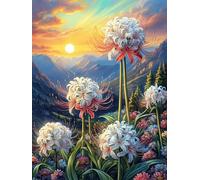 Fleurs Blanches dans Une Prairie Fleurie Puzzle 500 Pièces pour Adultes Art Moderne Educa Jeu De Réflexion Famille Relaxation Assemblage Amusant Cadeau De Fête 500 PCS
