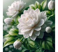 Fleurs blanches Peinture Diamant Adulte,DIY Carré Art du Diamant Painting Kit Complet,5D Broderie Fleurs Diamond Painting pour Adultes Point de Croix Cristal Painting pour Murale Décor 45x45 cm