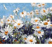 Fleurs Blanches sans Cadre par Numéros Paillasson Anti-Salissures Tapis De Porte Ramasse La Saleté Paillasson Exterieur pour Intérieur Accessoires Maison Jardin 40 X 60Cm