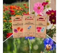 Fleurs comestibles - 3 sachets de graine
