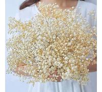 Fleurs conservées séchées fraîches naturelles Gypsophila paniculata, bouquets de fleurs d'haleine de bébé, cadeau pour décoration de mariage, décoration de maison Rose rouge