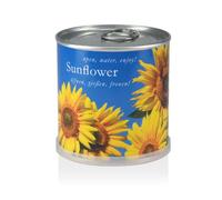 Fleurs dans la boîte - Tournesol