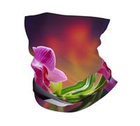 Fleurs dans la fontaine Pierres de massage Cache-cou UPF 50+ Masque rafraîchissant Protection UV Soleil Masque de cyclisme Cache-cou Respirant Bandana de randonnée pour homme et femme Cagoules