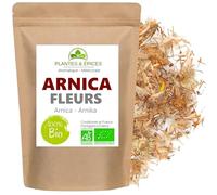 Fleurs d'Arnica Naturelles 100g Tisane Infusion thé (Montagnes du Mexique)