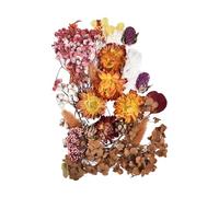 Fleurs d'art en résine - Collection florale séchée royale préservée, fleurs pressées réelles | Petites fleurs séchées naturelles pressées en vrac, matériaux de fabrication pour moules géode arts