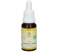 Lemon Pharma Fleurs de Bach Bio N°7 Chestnut Bud Goutte(S) 20 ml