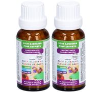 Fleurs de Bach Concentration pour enfants Perles Globulix Granulés 2x20 g