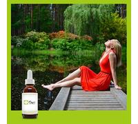 Fleurs De Bach Lacher Prise -30 Ml Conseil Fleur De Bach