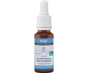 Fleurs de Bach Mélanges Bio N°42 Confiance Gouttes 20ml