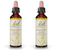 Fleurs de Bach® Original Chestnut Bud N° 7 Goutte(S) 2x20 ml
