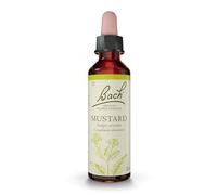 Fleurs de Bach Original, Mustard, No 21, pour plus de stabilité, aide à retrouver la joie initiale. Elixir floral naturel pour le bien-être émotionnel. Compte-Gouttes 20ml, Vegan