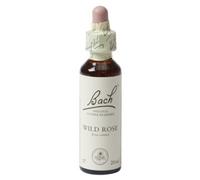 Fleurs De Bach Remedie 37 Wild Rose/Eglantine 20ml