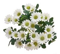 Fleurs de camomille en soie pour décoration de fête prénatale, table de révélation du sexe, art mural et thème doux pour chambre d'enfant (blanc)
