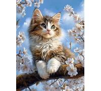 Fleurs de cerisier Peinture Numero Adulte Enfant avec Cadre, Peinture par Numéro Fleur Paint by Numbers Kit, Numero d'art avec 3 Pinceaux et Acrylique Loisirs Créatifs Adultes, Cadeau 70x90 cm Q-1288