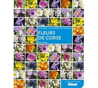 Fleurs de Corse - Alain Delage - Glénat - broché - Guide