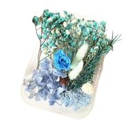 Fleurs de décoration pour la Maison Fleurs séchées, Bougies Faites à la Main, véritables Feuilles de Fleurs , éternelles l'air Libre, 1 pièce(Blue)