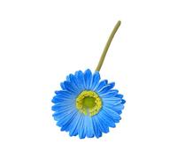 Fleurs de gerbera artificielles Jamesonii avec tige réaliste en soie pour la maison, le bureau, le centre de table, fausses branches florales, bleu