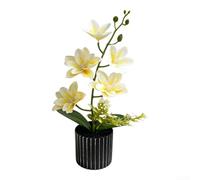 Fleurs de magnolia artificielles, plante réaliste en pot avec 5 fleurs pour décoration d'intérieur, centre de table de mariage, affichage de table extérieur, caoutchouc souple, 33 cm (blanc)