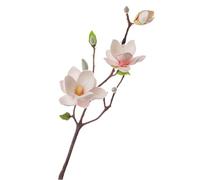 Fleurs de magnolia EVA : allumez la beauté des maisons neuves TQk755 (taille unique)