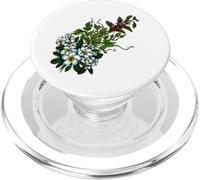 Fleurs de Plumeria Tropicales houblon Vert Cerises café PopSockets PopGrip pour MagSafe